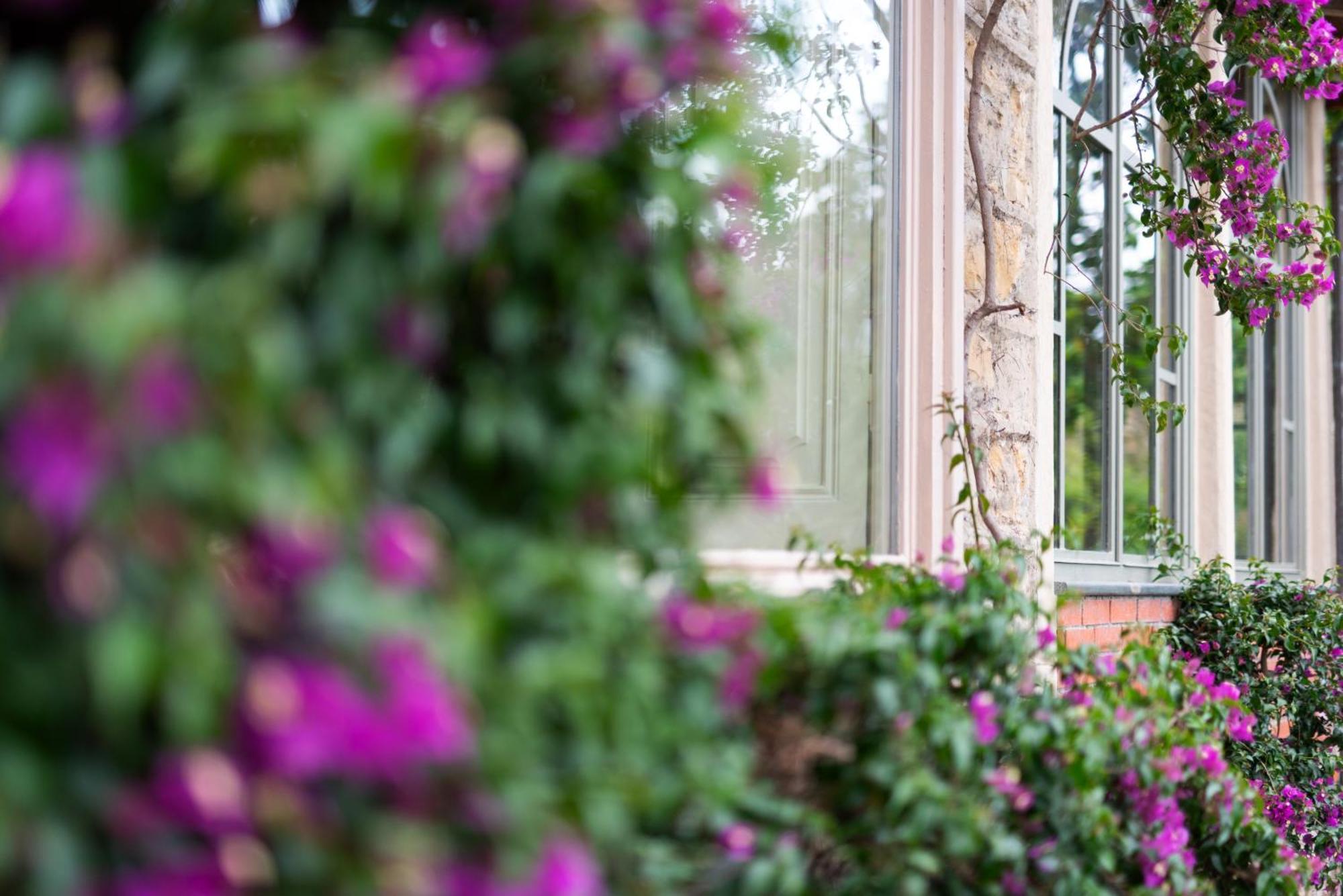 Villa Rappis Imperia Exterior foto